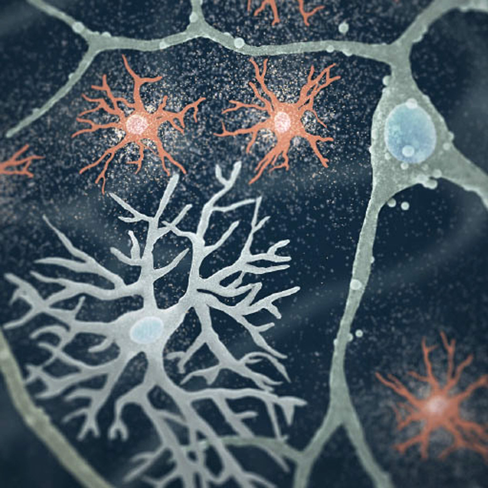 Denali Therapeutics